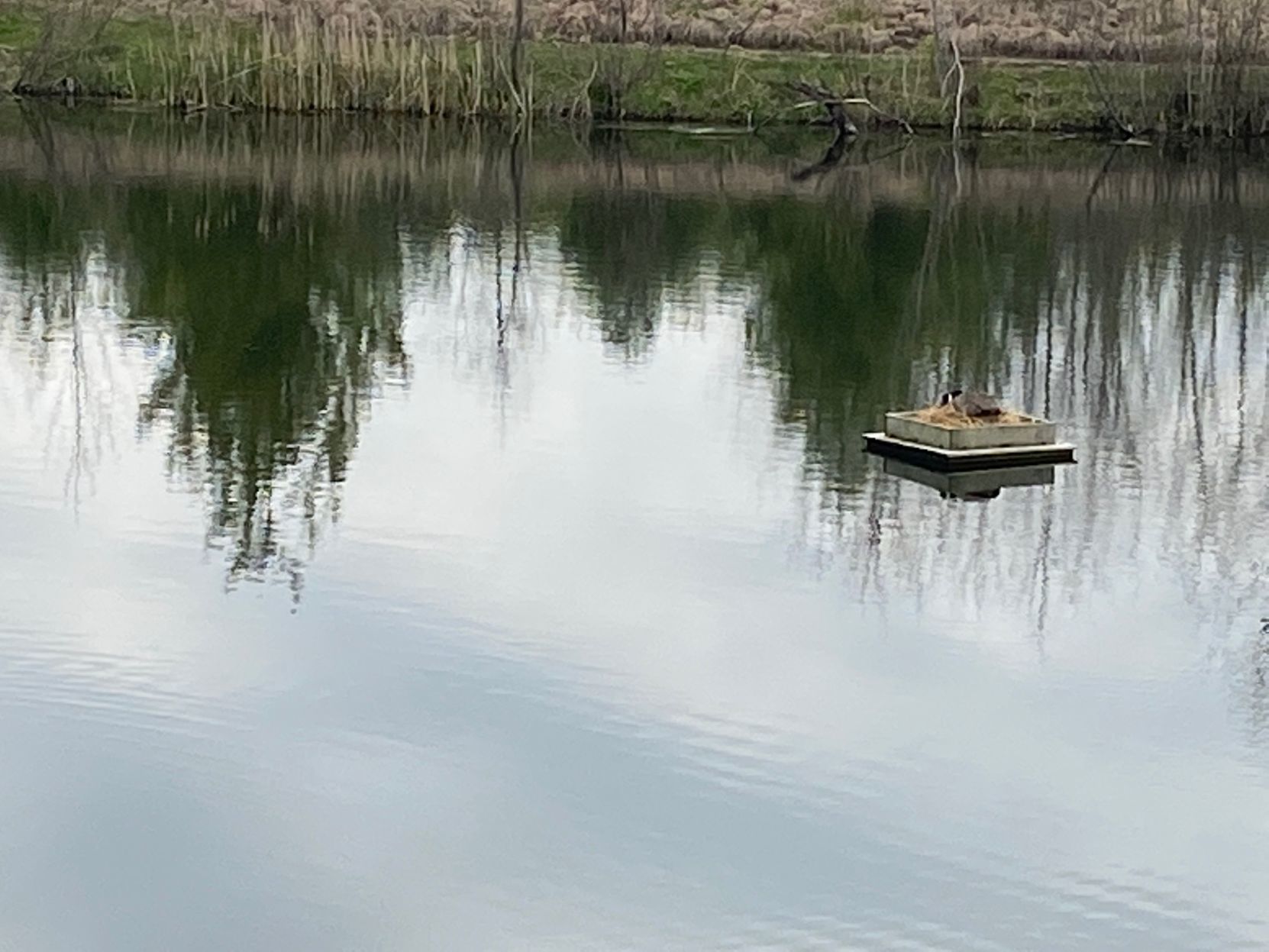 lake reflect